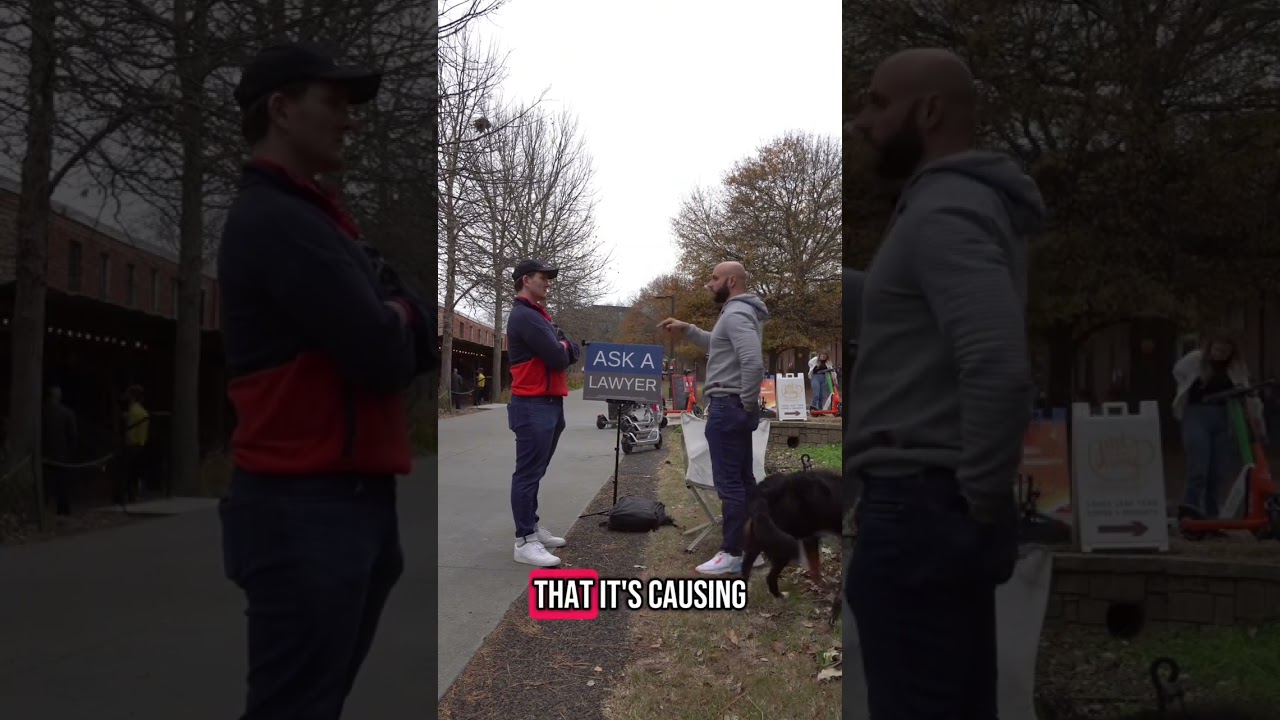 Ask a Lawyer Handling Property Disputes Your Legal Rights with Problematic Trees