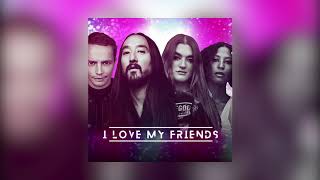 Steve Aoki &amp; Alle Farben &amp; Icona Pop - I Love My Friends (And My Friends Love Me) [Visualizer] Ultra