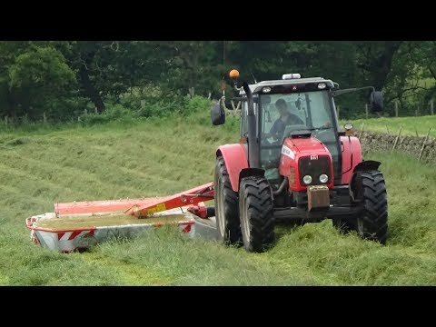 Cumbrian Silage - Mowing for Silage with Massey Ferguson 5465 & Kuhn - Silage 2019