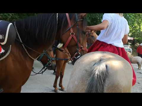 Maglód - Szüreti felvonulás / Petőfi tér 2018.09.08