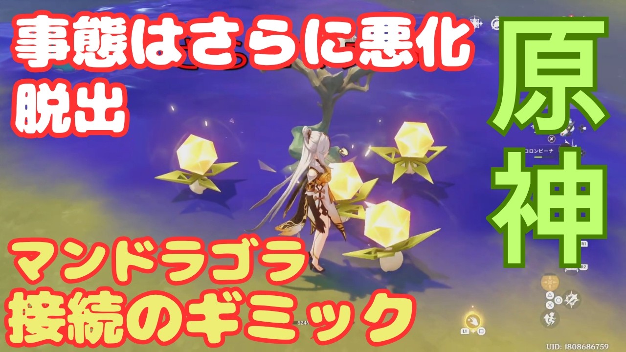 YouTubeサムネイル