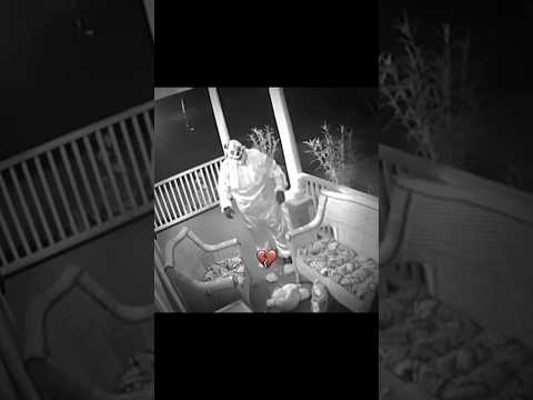 4 seconds KO. #capcut #scary #clown #miketyson