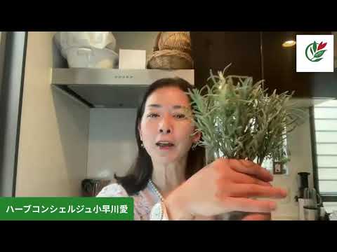 医療ビジネス薬科学科 ラベンダーの魅力と活用方法