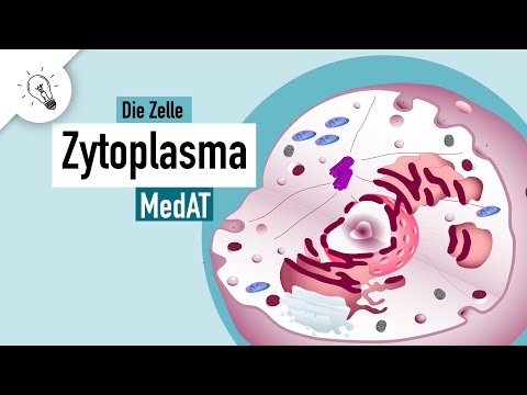 Cytoplasm | Components & Function | MedAT | Biology
