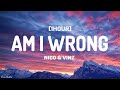 Nico & Vinz - Am I Wrong (Lyrics) [1HOUR]