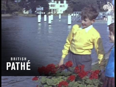 Documentary Cuts (1960-1969)