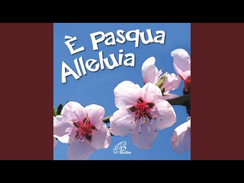 Quanta gioia (Base musicale)