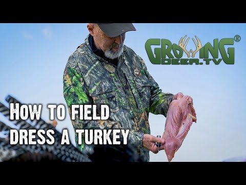 , title : 'After the Hunt: How To Get the Meat Off A Turkey (Field Dressing A Turkey)'