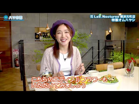 ハマナビ　2022年5月21日放送　ハマの花