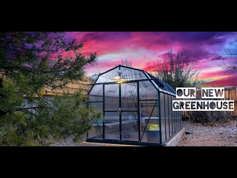 Our new (to us) Greenhouse!