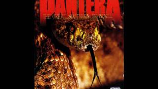 Pantera - (Reprise) Sandblasted Skin