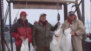 preview picture of video 'The best fishing lodge in Alaska'