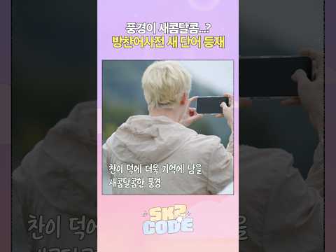 새콤달콤 #StrayKids #스트레이키즈 #스키즈코드 #SKZCODE #비행記in부산 #TravelLoginBusan