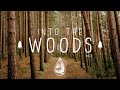 Into The Woods 🌲 - A Mysterious Indie/Folk/Pop Playlist | Vol. 2