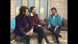 Wall Of Voodoo Interview Sky TV 1987