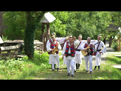 Viorel Pop - Hori Moroșenești