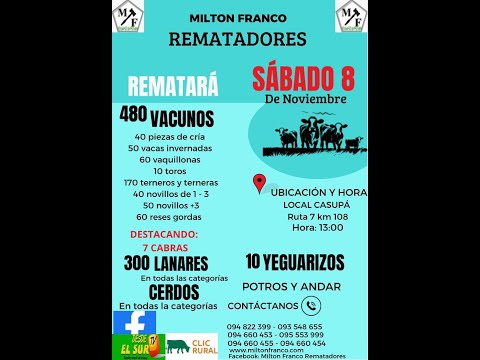 8/11/2025 Local Casupá - Florida - Feria mensual - Milton Franco