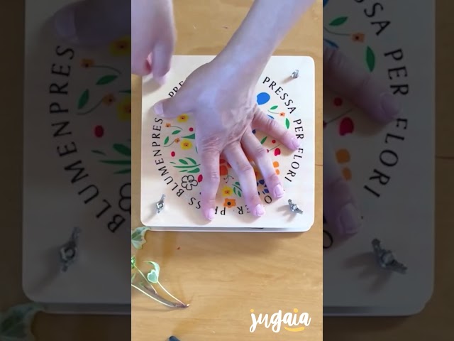 Vídeo relacionado con BlueSwan Manualidades Adultos, Prensa Flores, Juguetes Educativos DIY Kit