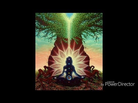 COMO SE PUEDE CONECTAR CON LA FUENTE ORIGINAL DE LUZ JACONOR 73