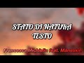 STATO DI NATURA TESTO Francesca Michiel STATO DI NATURA TESTO Francesca Michiel