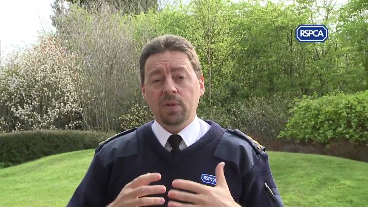 Could you be an RSPCA inspector?