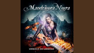 Mandrágora Negra - Mi Soledad (Audio)