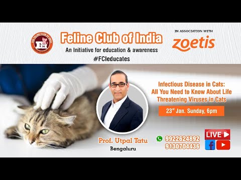 WEBINAR #24 : INFECTIOUS DISEASES IN CATS : ABOUT LIFE THREATENING VIRUSES IN CATS