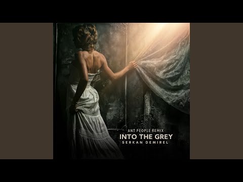 Into the Grey (Ant People Remix)