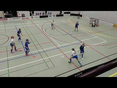 Nibacos E-tytöt - Blue Fox ja Nibacos E-tytö FBC Remix 28.11.20