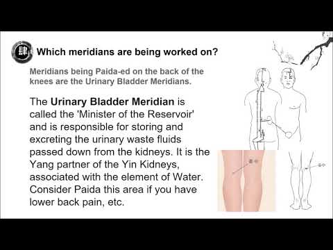 2019 Online PaidaLajin Workshop - Paida The Knees