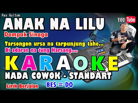 KARAOKE ANAK NALILU || NADA STANDART COWOK - BES = DO - SUDAH ADA IZIN DARI PENCIPTA LAGU