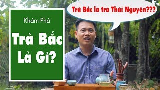 Trà Bắc Là Gì? Trà Bắc Có Phải Là Trà Thái Nguyên?