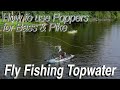 Fly Fishing Topwater Bass Pike Tips For Success Using Poppers