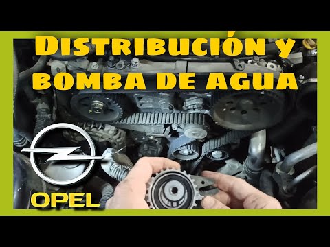 Cambio CORREA DISTRIBUCIÓN y BOMBA de AGUA opel VECTRA 1.9 motor (DTH)