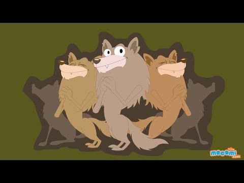 12 Interesting Facts about Wolves - Wolf Facts for Kids | Educational Videos by Mocomi Video