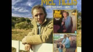 Mel Tillis I Got the Hoss.