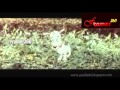 O Faby Song Ilam Manassin Sangalppam Title Song 1993 Malayalam