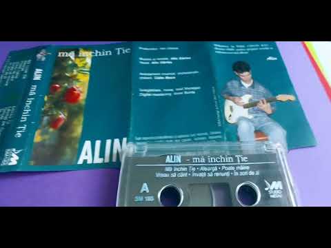 alin garlea si călin boca