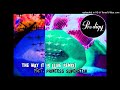 The Prodigy - The Way It Is (Special Live Remix) - Feat. Princess Superstar