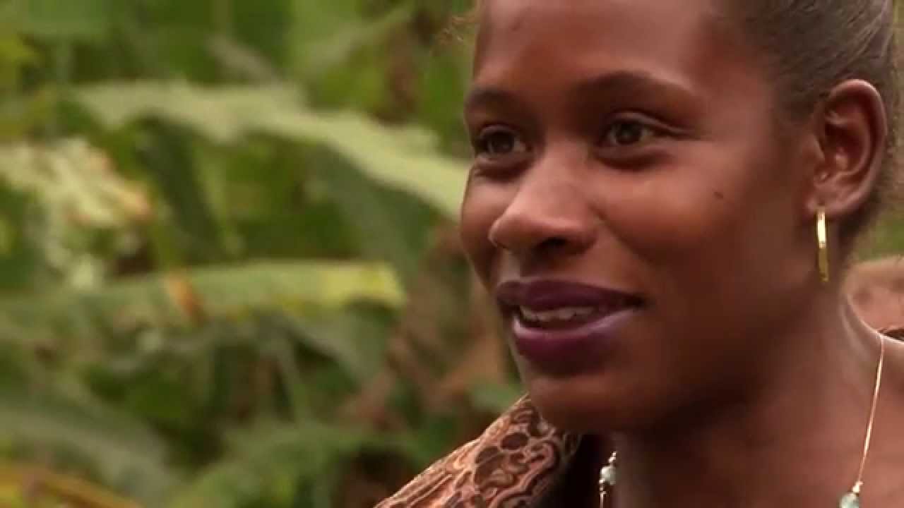 Terra é Liberdade - Quilombo São José da Serra