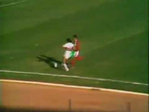 Internacional 1 x 4 São Paulo   Campeonato Brasileiro 1977