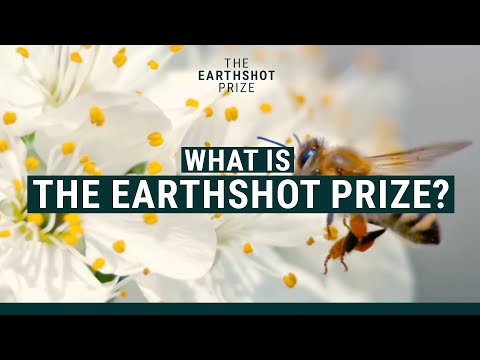 What Is The Earthshot Prize? 🌍🏆 | @EarthshotPrize