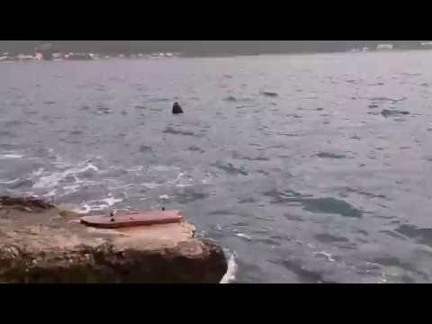 Shoreline in Korcula, Croatia