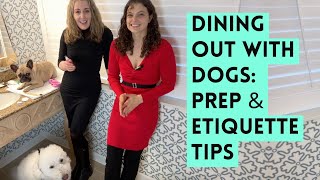 How to Dine Out with Your Dog Without Chaos: Grooming & Training Tips