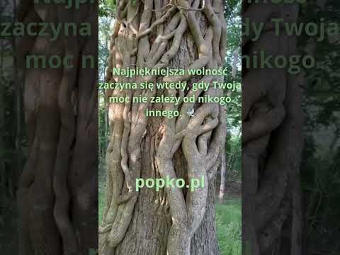 [Encyklopedia Wiedzy Duchowej] Prawdziwa siła to nie walka z innymi, ale odkrycie, że masz w sobie wszystko, czego potrzebujesz, by