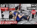 | DAY 8 | Bodybuilding for BEGINNERS! (Hindi / Punjabi)