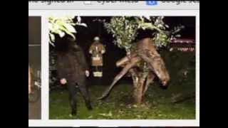 You Only Call Me When You&#39;re Drunk - Jubal Lee Young