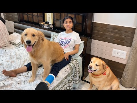 Garvita Ke Fracture Hogya 😰