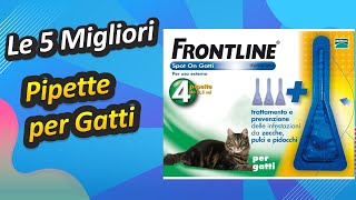 Le 5 Migliori Pipette per Gatti