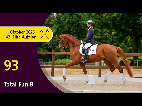No. 93 Total Fun B by Total Hope - Londontime | 142nd Verden Elite Auction, October 11